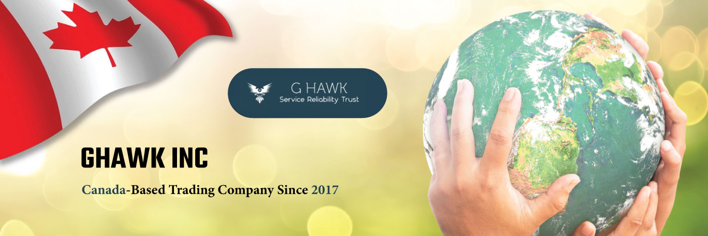 GHAWK INC