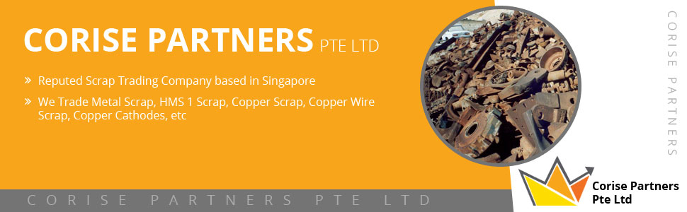 Corise Partners Pte Ltd