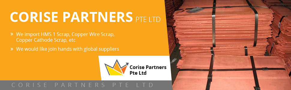 Corise Partners Pte Ltd