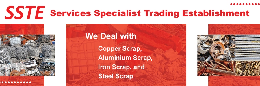 Services Specialist Trading Establishment