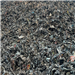 Supplying 1000 Tons of Shredded Steel Scrap from Navegantes or Paranaguá Port